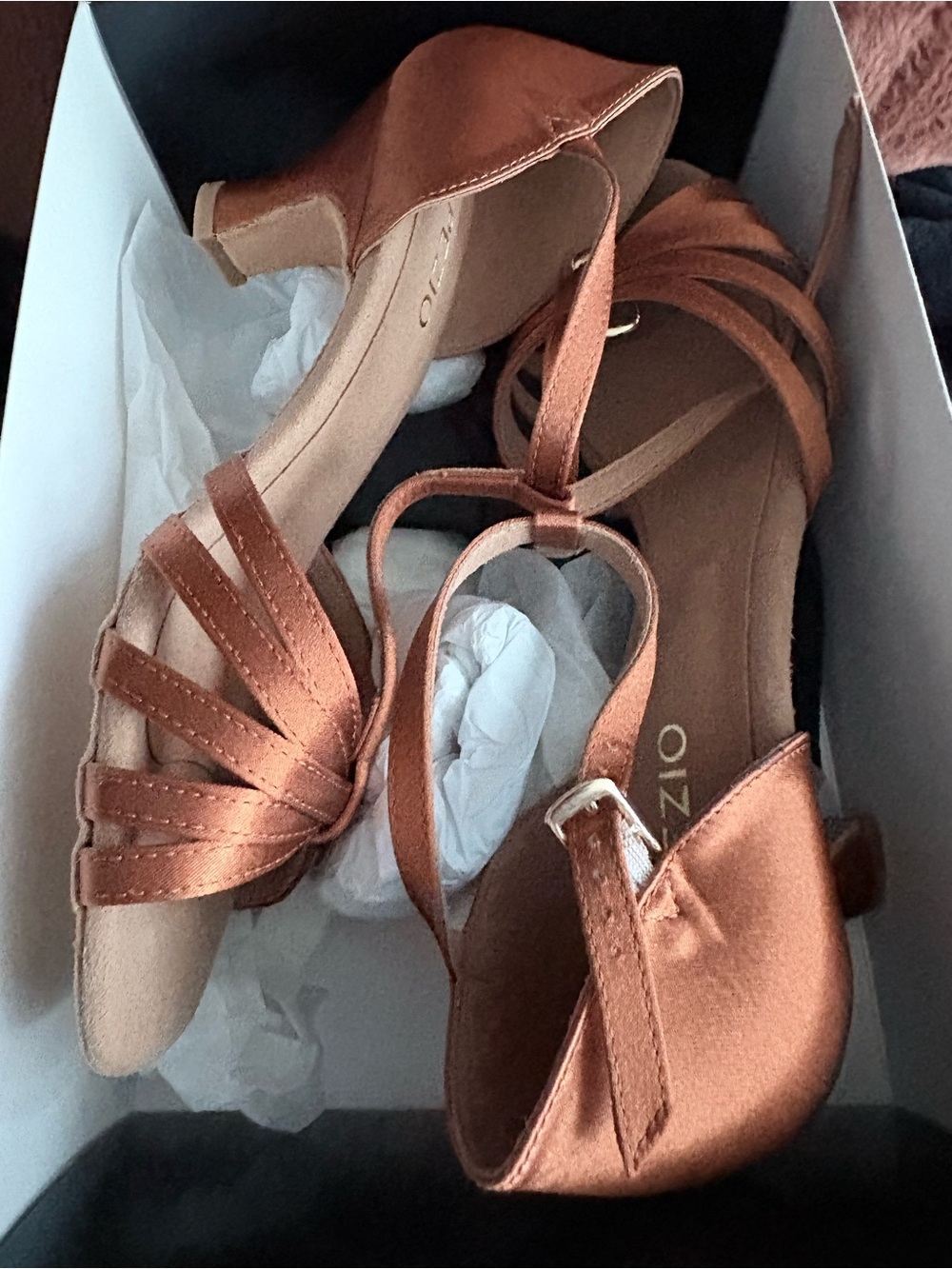 BNIB Capezio Sara Ballroom Shoe